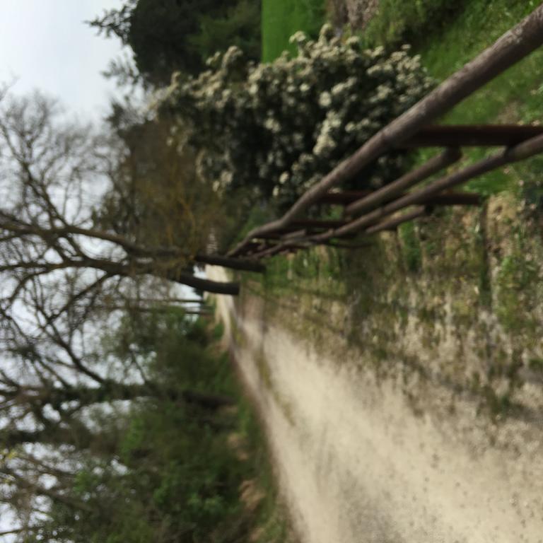 Azienda Agrituristica I Tre Casali Magione Zewnętrze zdjęcie