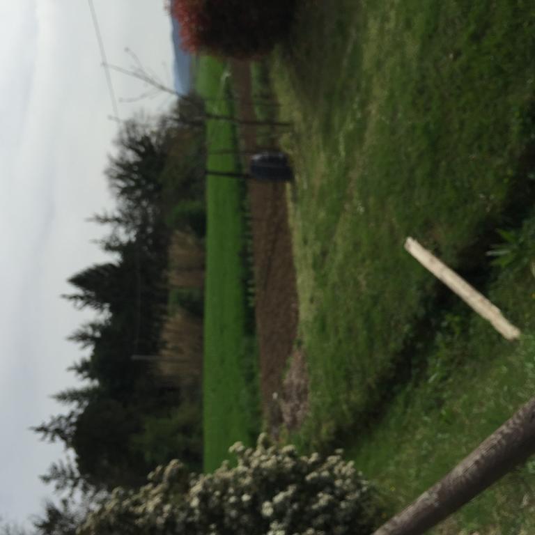 Azienda Agrituristica I Tre Casali Magione Zewnętrze zdjęcie