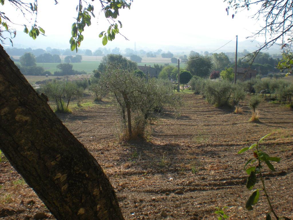 Azienda Agrituristica I Tre Casali Magione Zewnętrze zdjęcie